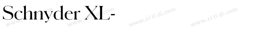 Schnyder XL字体转换